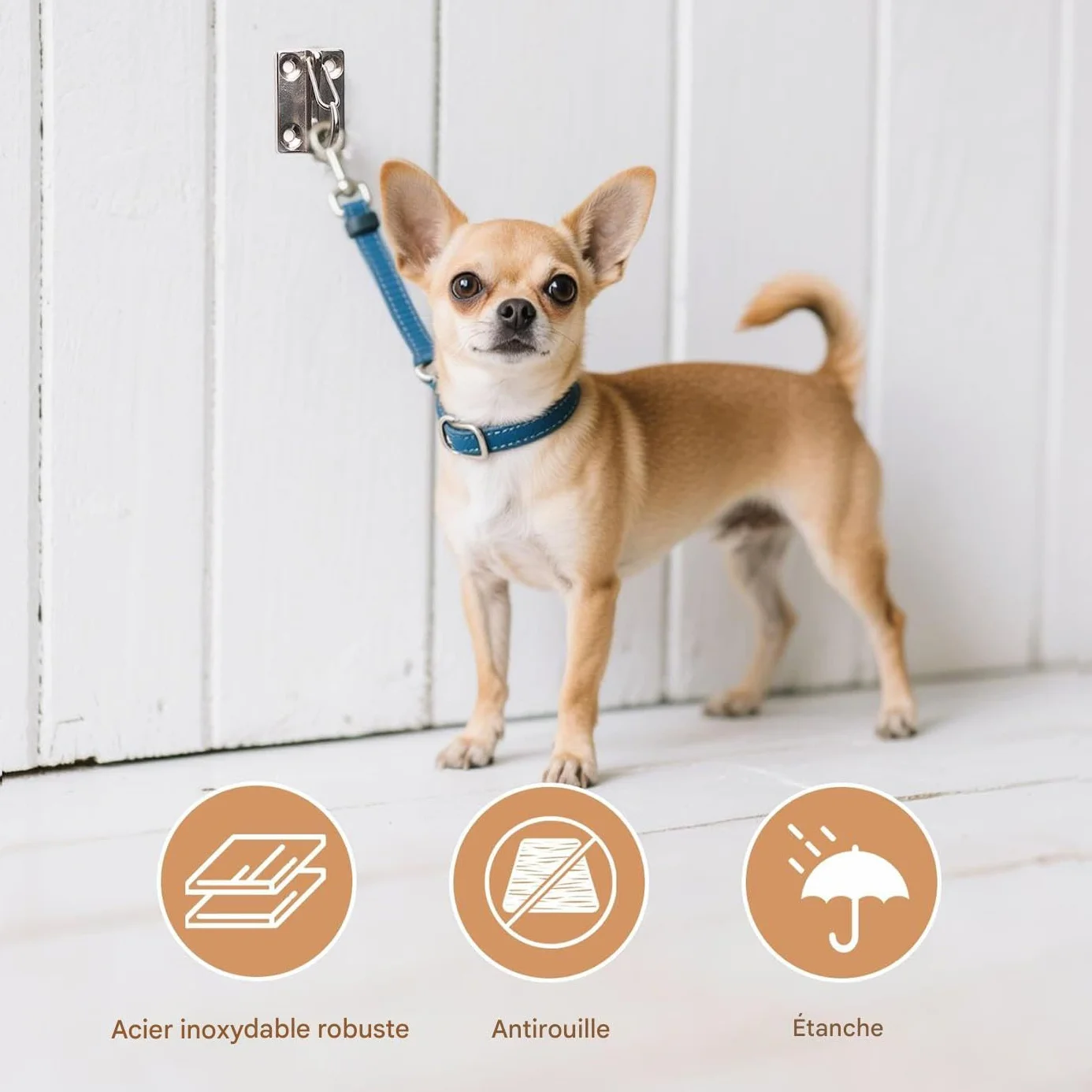Crochet de Traction pour Chien à Fixer au Mur, Crochet Murale pour Attache Grande Laisse Chien, Accessoires Antirouille pour Animal de Compagnie pour Maison et Garage