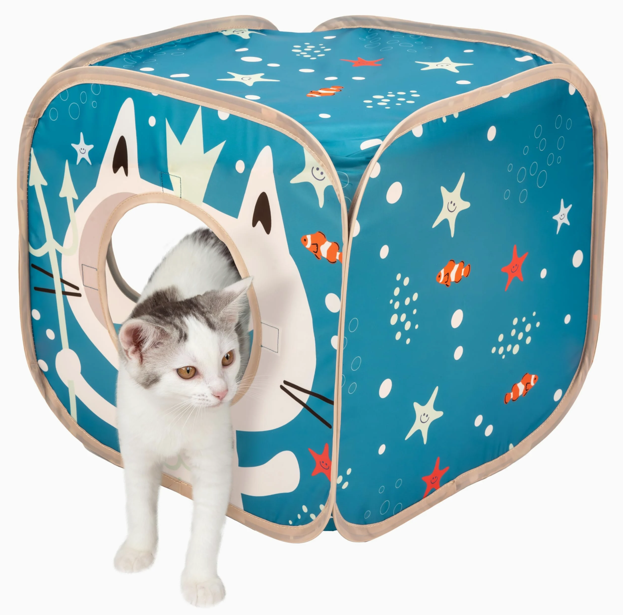 Kitty City Ensemble de meubles de jeu pour chat sur le thème de l'océan, jouets pliables pour chat avec cube, tunnel et maison, aire de jeu intérieure pour chat, pour jouer, se cacher et se détendre