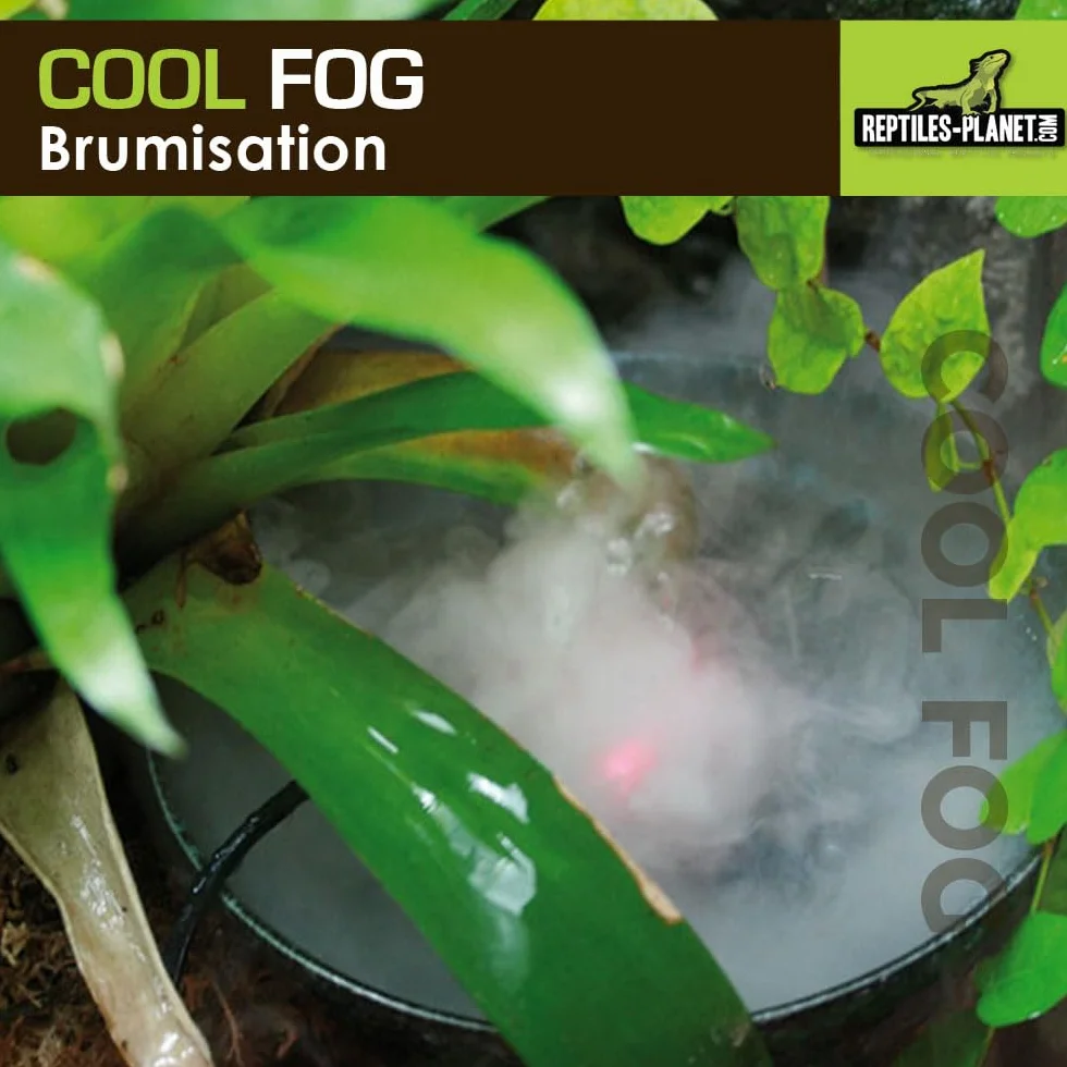 Reptiles Planet - Cool Fog - Brumisateur à Ultrason pour Terrarium