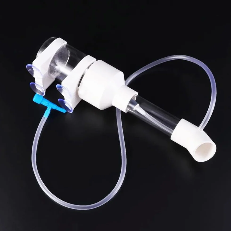 Incubateur d'œuf de poisson pour bébé - 50 mm - Pour aquarium, cichlidé, aquarium