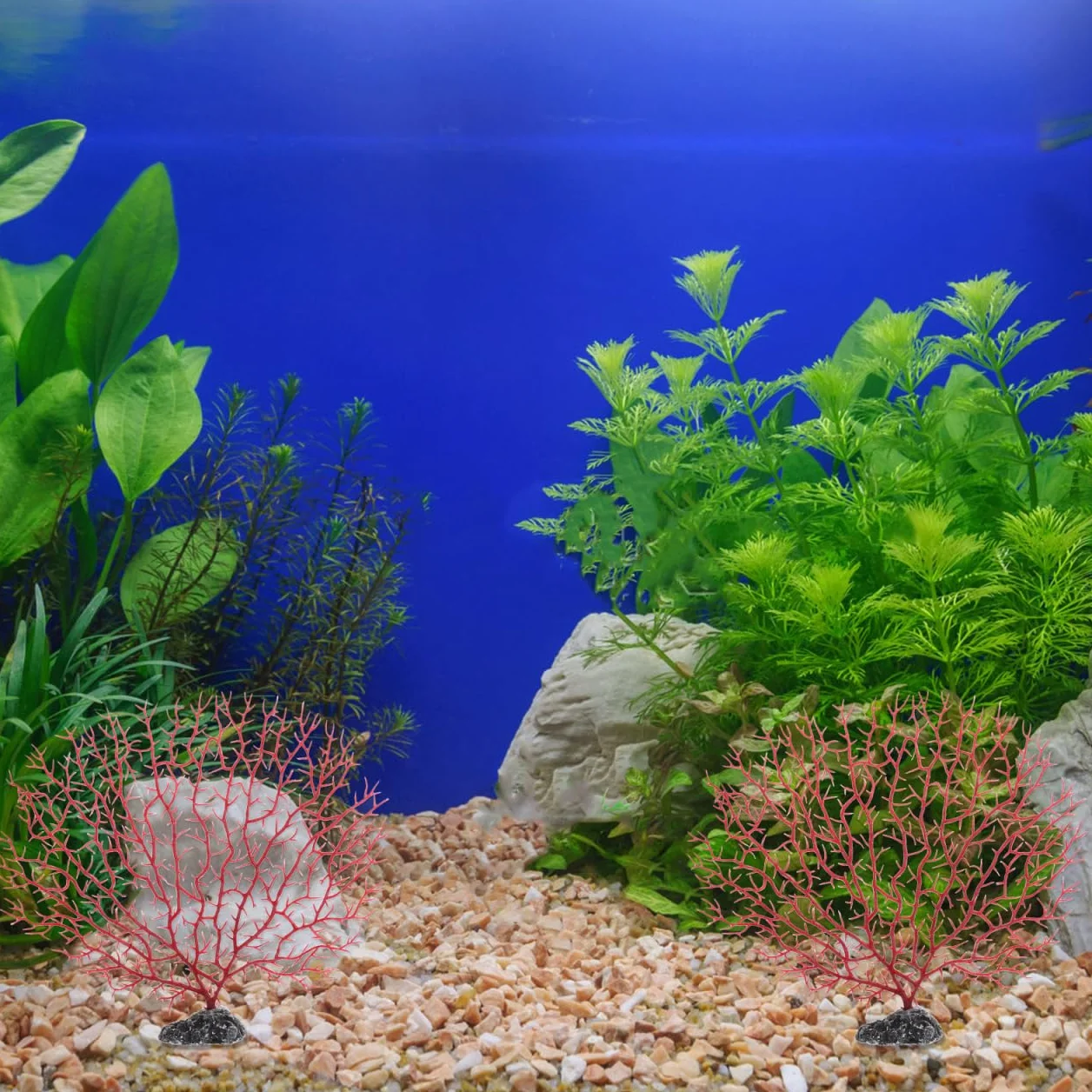 Lot De 2 Branches De Corail Artificielles pour Aquarium Plantes Plastiques Ornementales Taille Moyenne Décoration Naturelle