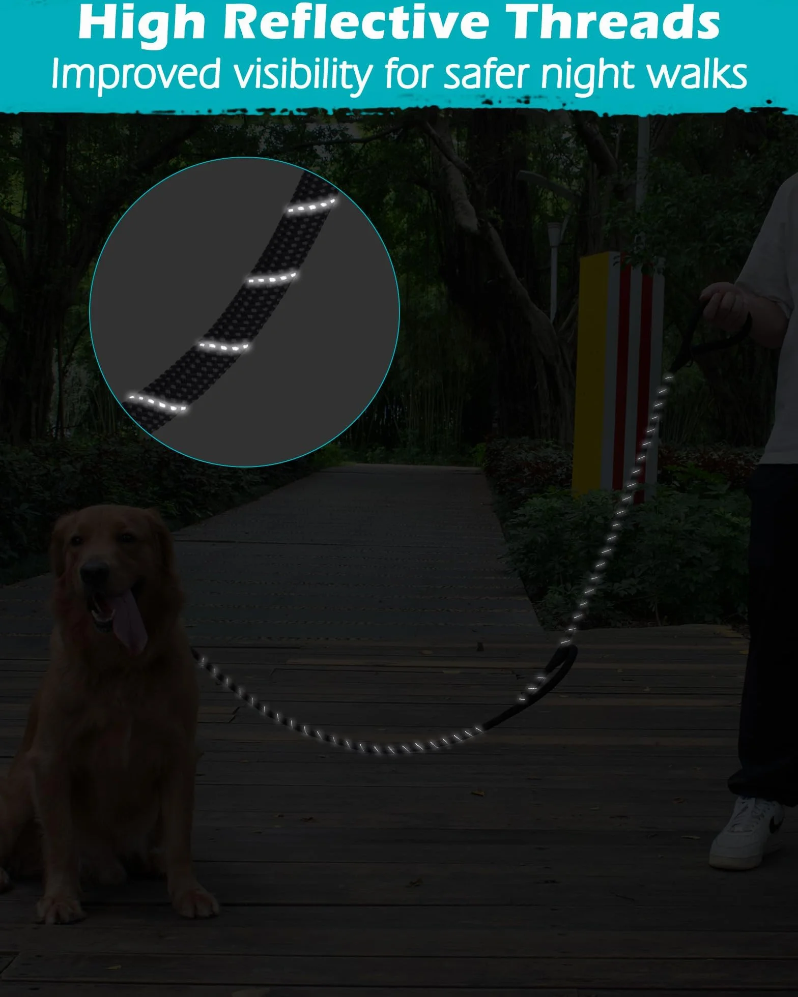 PetBonus Laisse Chien Double Poignée 1,5m Dressage Robuste Mousqueton Verrouillable Réfléchissante Noir
