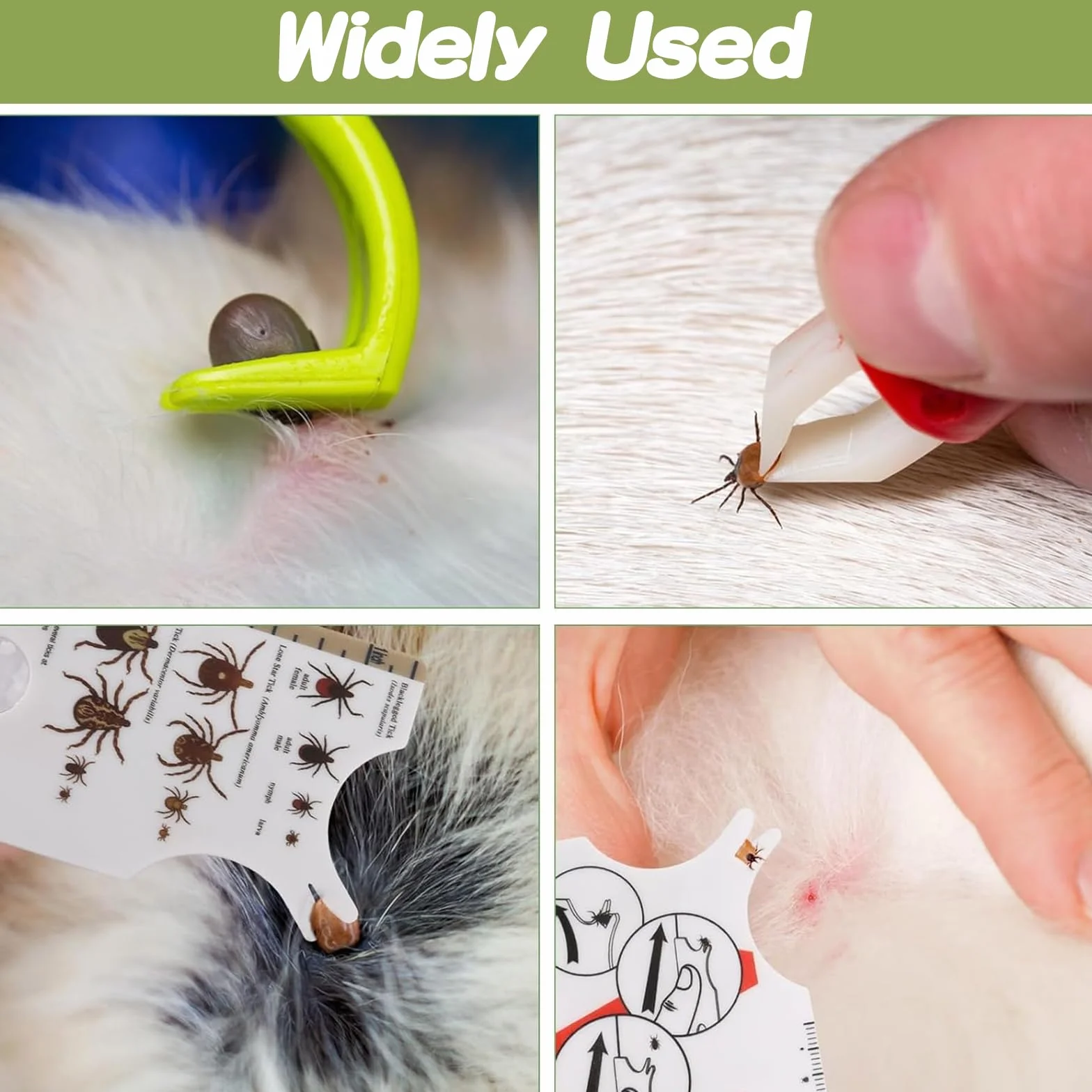 Carte De Retrait De Tiques - Tire-Tique Avec Loupe, Nettoyage Rapide, Pour Humains, Chiens, Chats