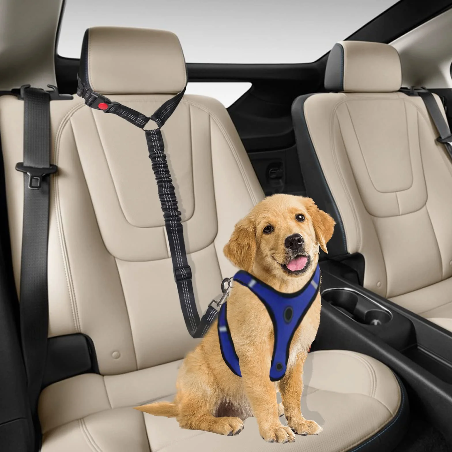 Ceinture Sécurité Chien Voiture Noir Petit Moyen