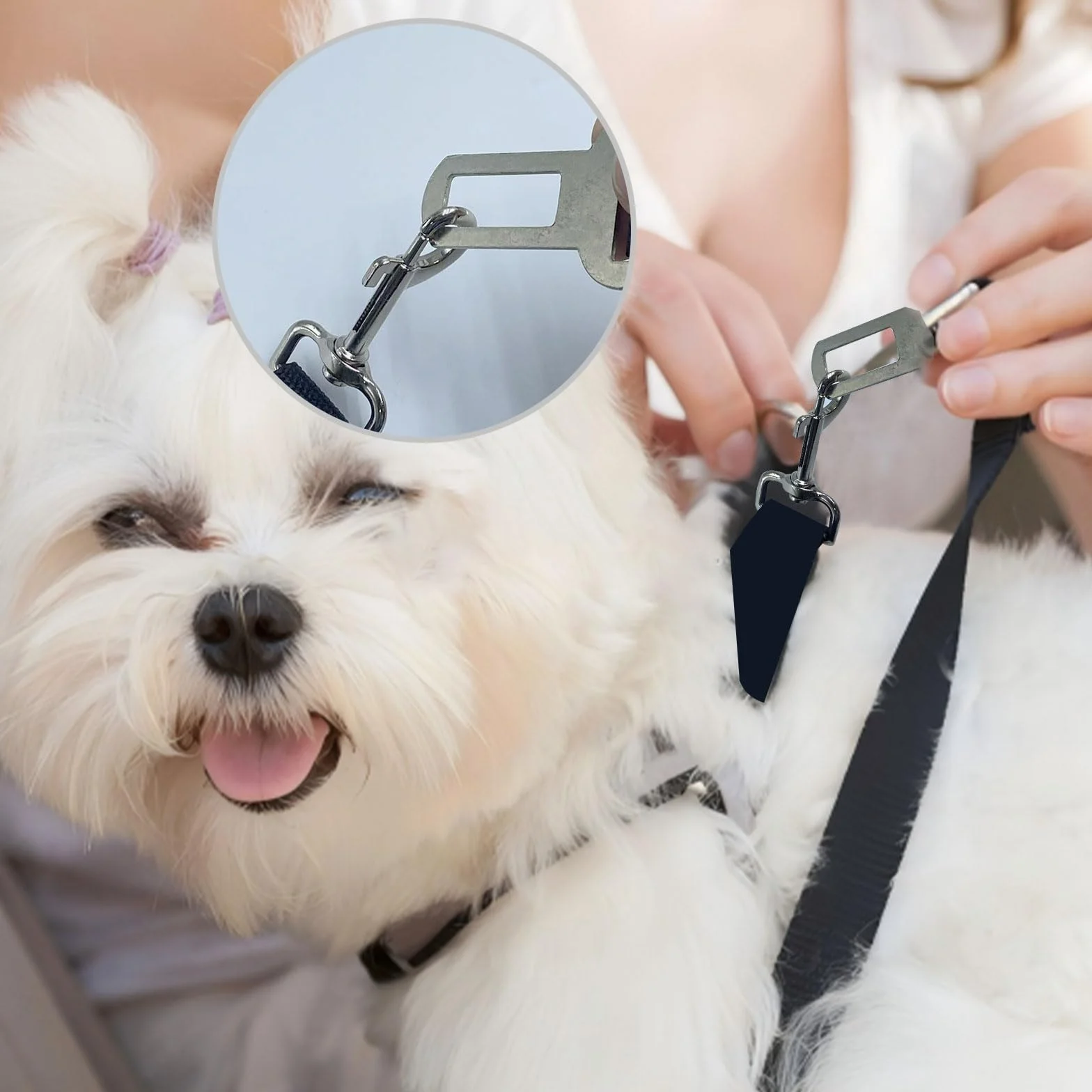 2 Pièces Harnais Voiture Chien Bleu et Noir Ceinture Chien 42-70cm Laisse Protégez-Vous et Votre Animal de Compagnie