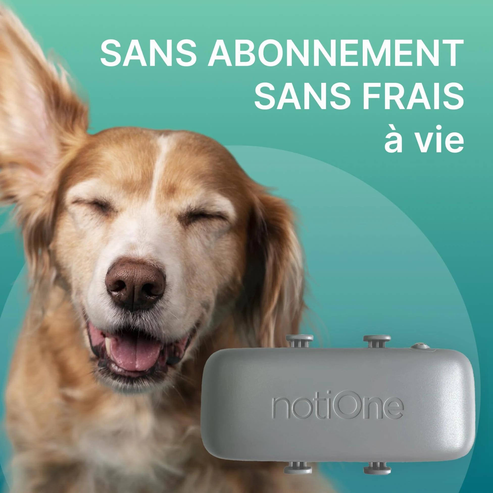 Traceur GPS Pet Basic pour Animaux sans Abonnement | Mini Traceur Chien & Chat, Étanche Collier GPS - Fonctionne dans Un Pays Européen au Choix