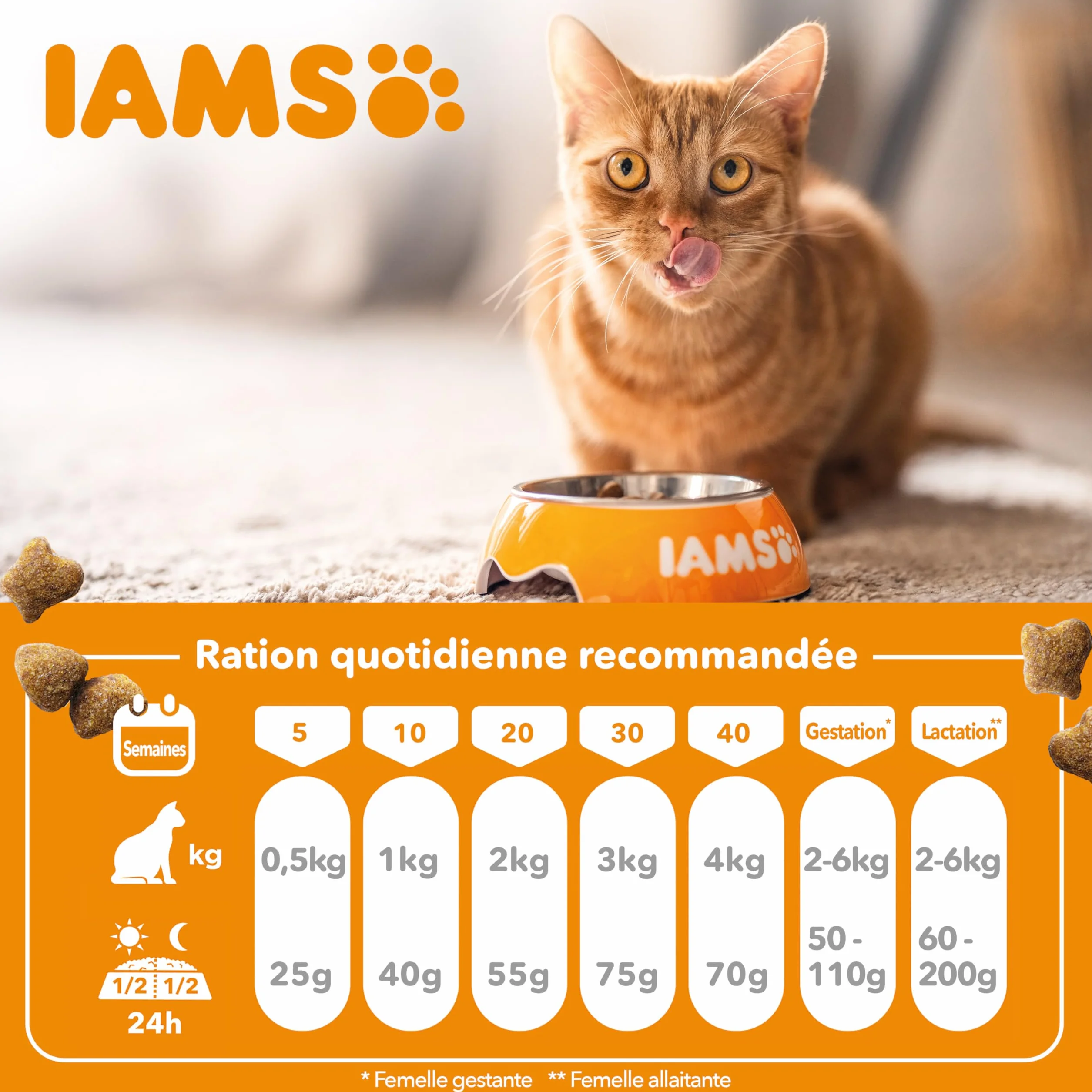 IAMS Vitality Croquettes Super Premium Chatons 10 kg Au Poulet Frais sans OGM