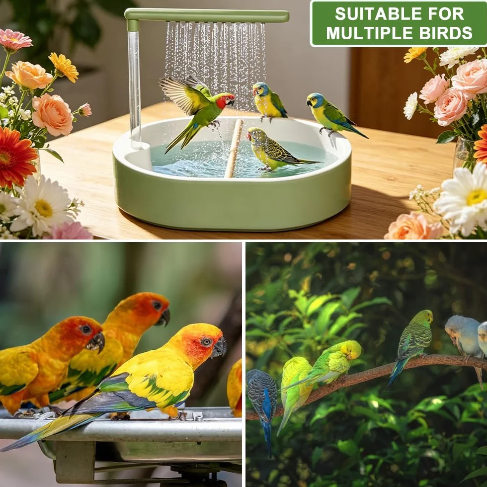 Douche à Oiseaux Automatique avec Douche d'eau Circulante pour Perroquet, Perruche, Cacatoès Vert
