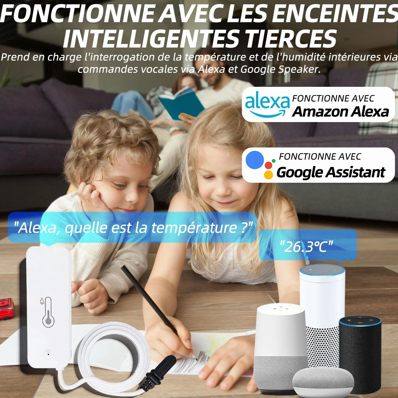 Thermomètre hygromètre WiFi avec capteur externe intelligent pour intérieur extérieur alarme application surveillance à distance compatible Alexa congélateur
