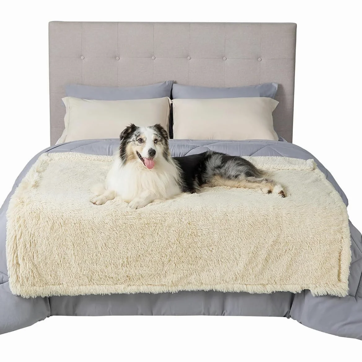 Couverture imperméable pour chien et chat de grande et moyenne taille – Couverture étanche pour canapé-lit – Tapis de couchage doux et chaud pour chaton (beige, 145 x 165 cm)