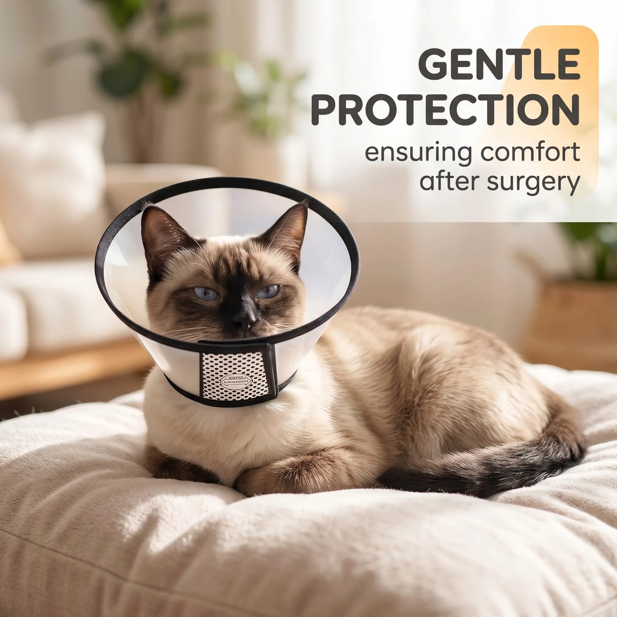 Collerette Chat Cône Plastique Protecteur Anti-Morsure Taille 18-22Cm Noir Et Blanc