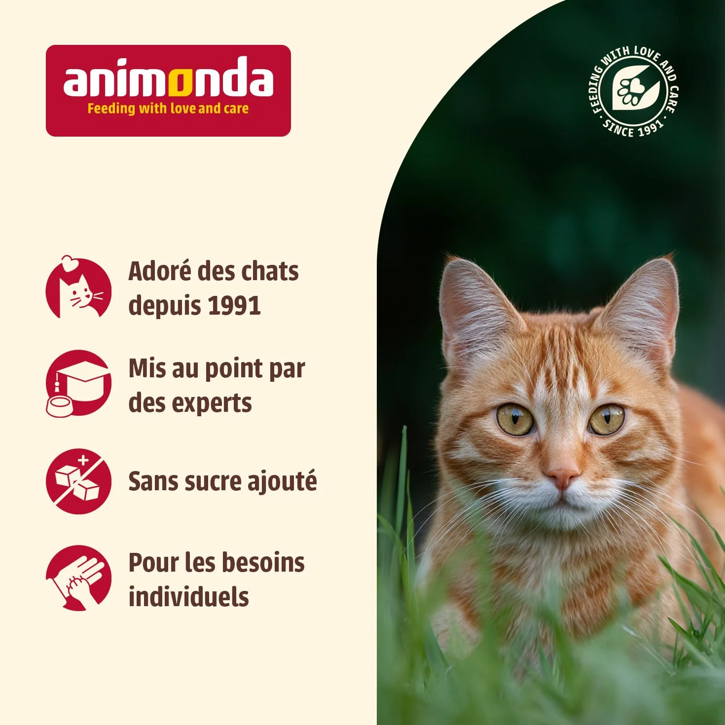 Carny Kitten Mix Variation Nourriture Humide pour Chats 12 x 200 g sans céréales ni Sucre pour Chatons jusqu'à 1 an