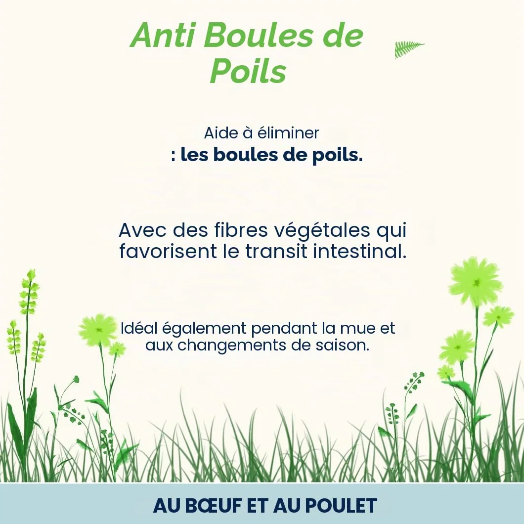 Almo Nature Functional Anti Hairball Nourriture Humide pour Chats Adultes Bœuf Poulet 70g Lot de 6