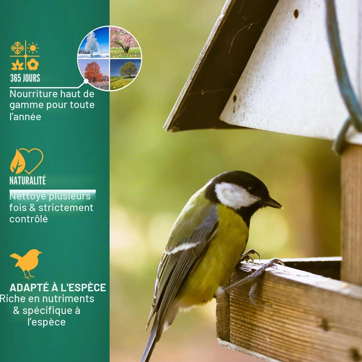 Nourriture pour Oiseaux Sauvages 20 kg - Mélange de Graines de Tournesol sans Poussière