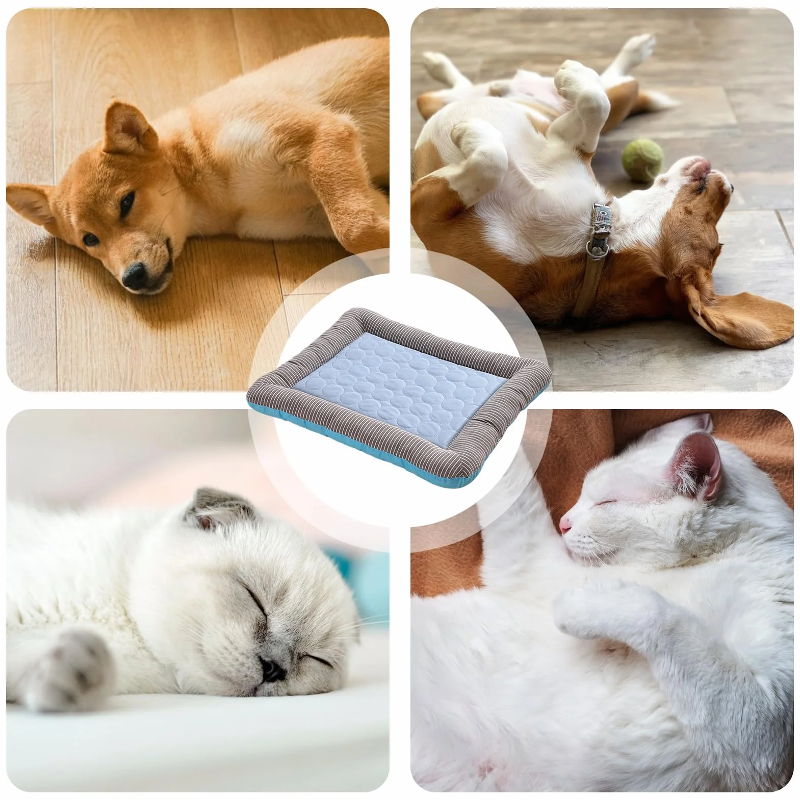 Lit Rafraîchissant pour Chats - Tapis Frais pour Animaux, Coussin Résistant pour Cages Rafraîchissant Chiens Moyens Chiots Lapins