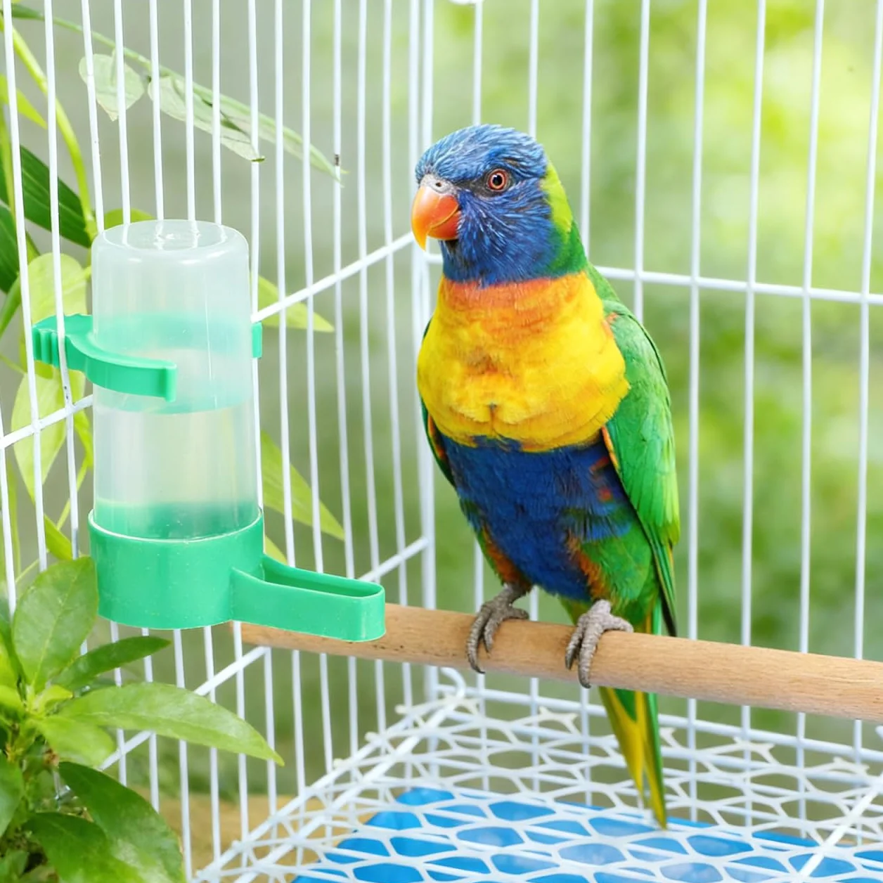 Hohopeti Distributeur d'eau Automatique pour Oiseaux en Cage 10 Pièces Abreuvoir Anti-Gaspillage 60Ml Bec Incliné