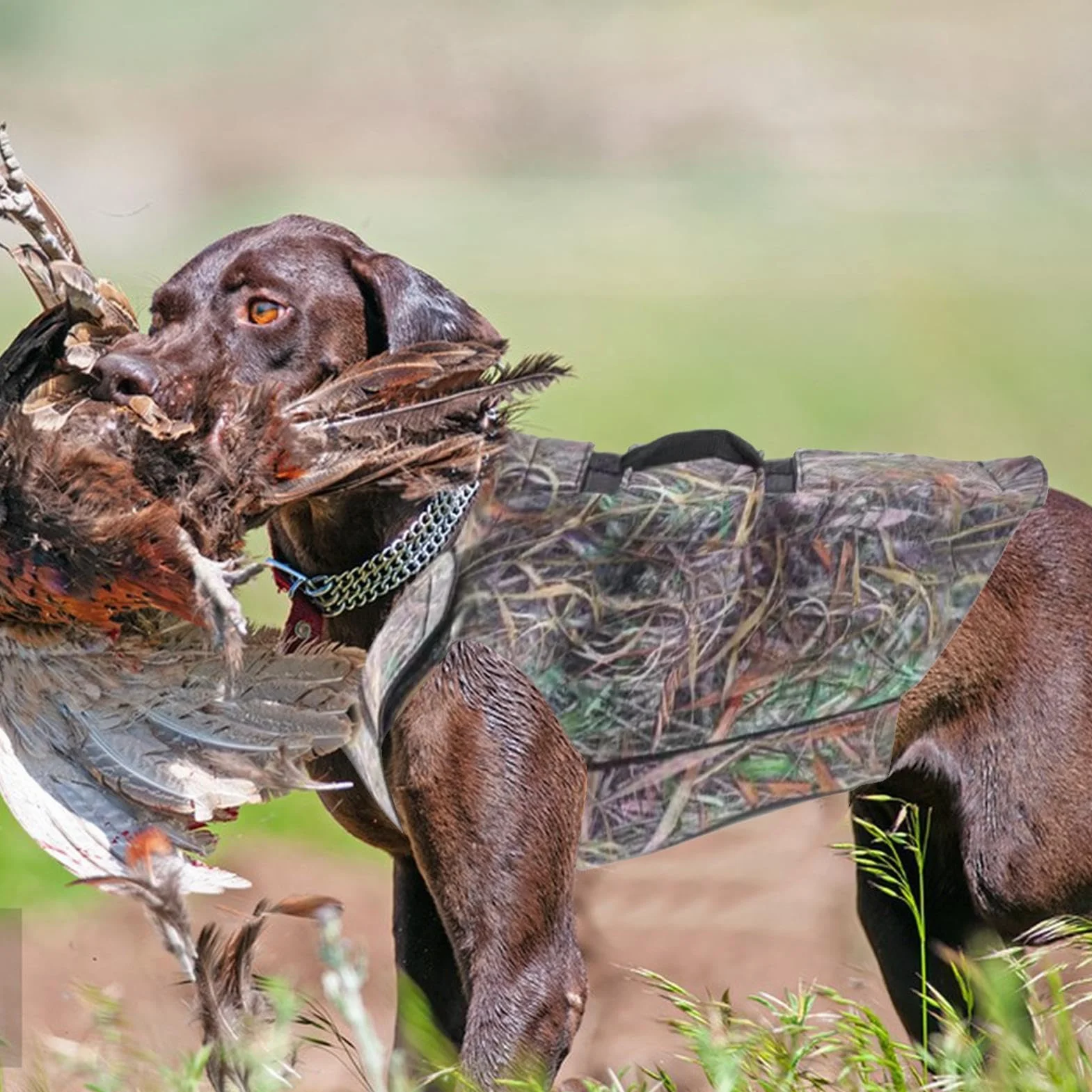 Gilet de Chasse pour Chien Respirant en Néoprène avec Poignée, Harnais de Sécurité Réglable pour Grands Chiens