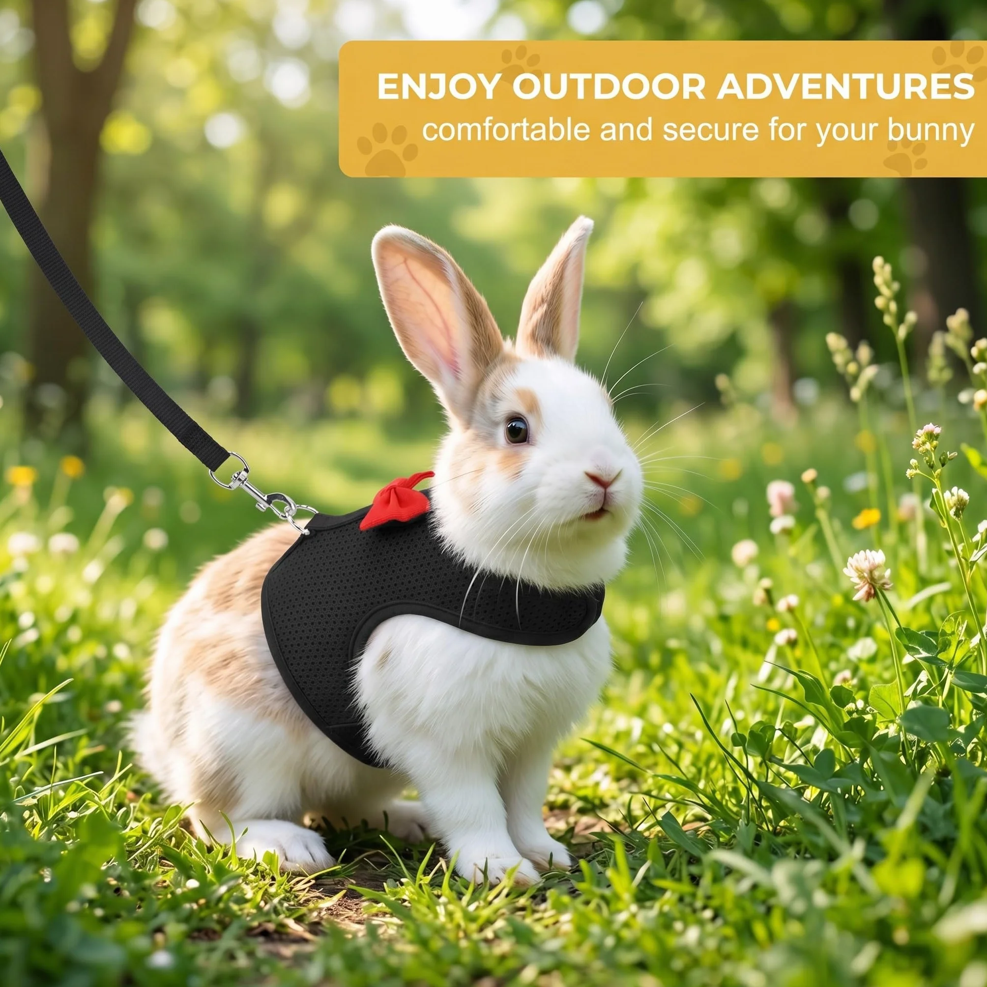 Harnais Lapin avec Laisse Réglable et Respirant - Accessoires pour Lapin Nain et Petits Animaux, Confortable et Sécurisé pour Promenade, Noir, Taille S