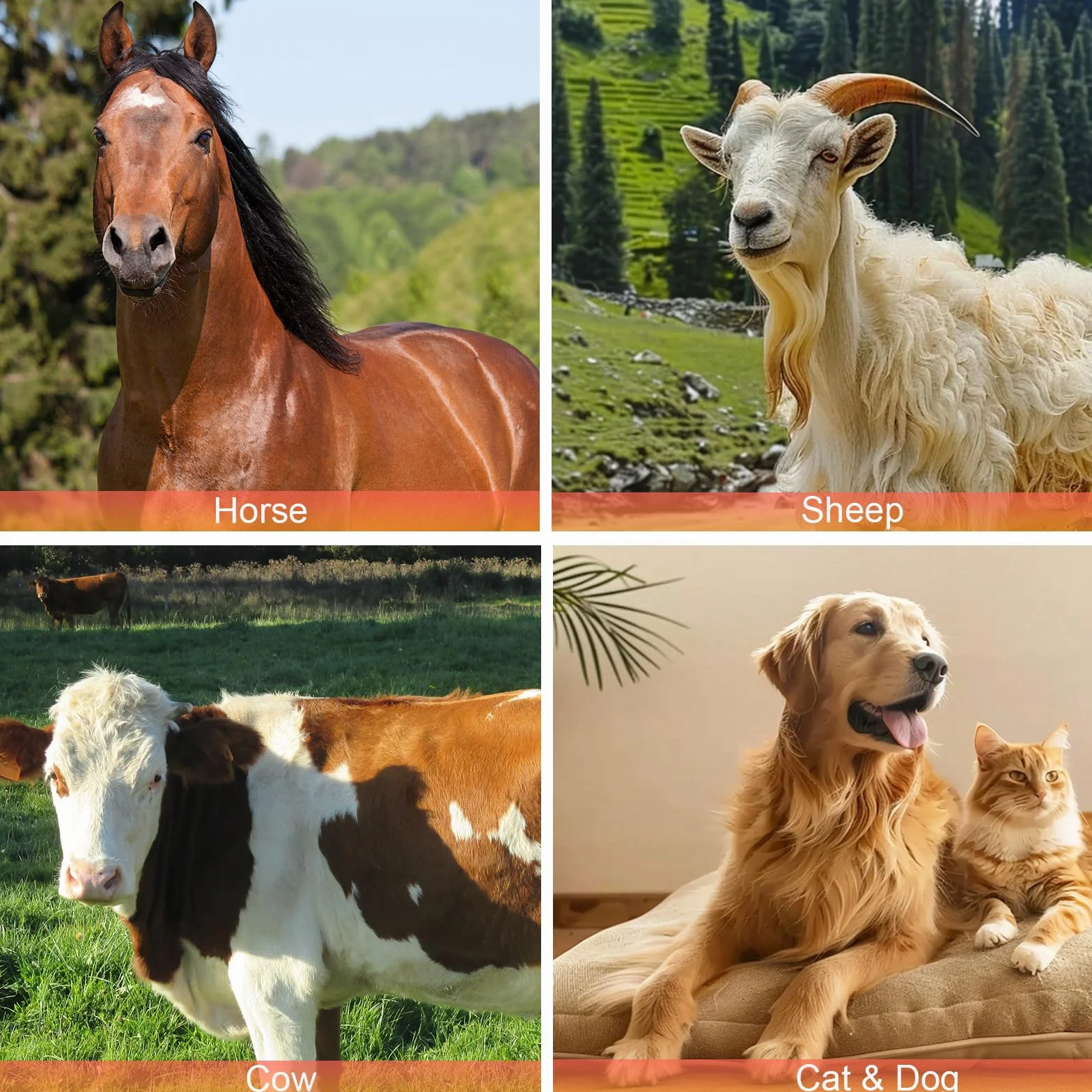 Brosse de Toilettage Cheval avec Porte-Peignes en Cuir, Manche en Bois pour Chevaux Chats Chiens