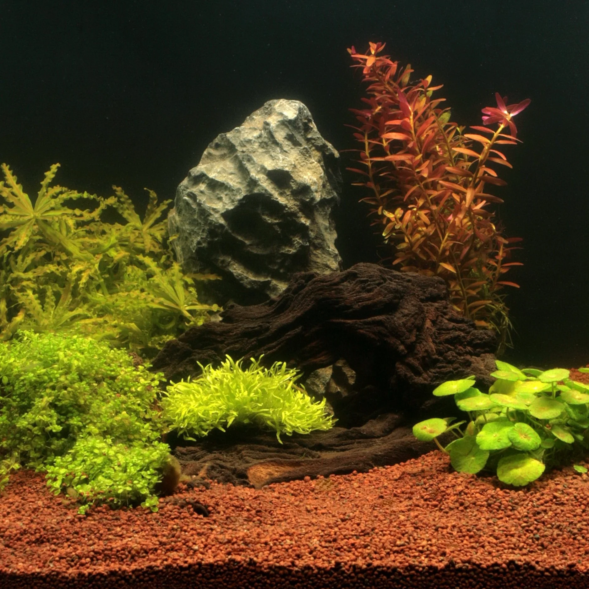 JBL Manado 5l substrat pour aquarium poisson
