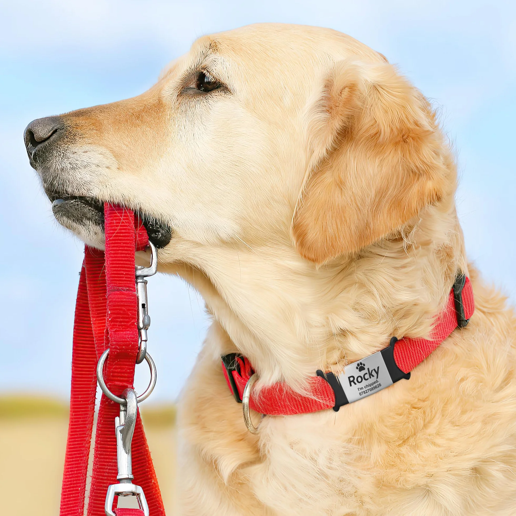 Medaille Chien Avec Gravure - Silencieuse Glisser Durable en Médaille Chien Gravée, Longue Durée et Facilement Lisible Medaille Chien Personnalisé Pour Colliers de Chiens et Chats, Icône BS-L
