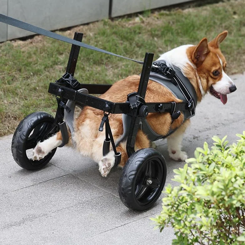 Chaise à roulettes pour chien chariot réglable pattes arrière mobilité 14-20KG