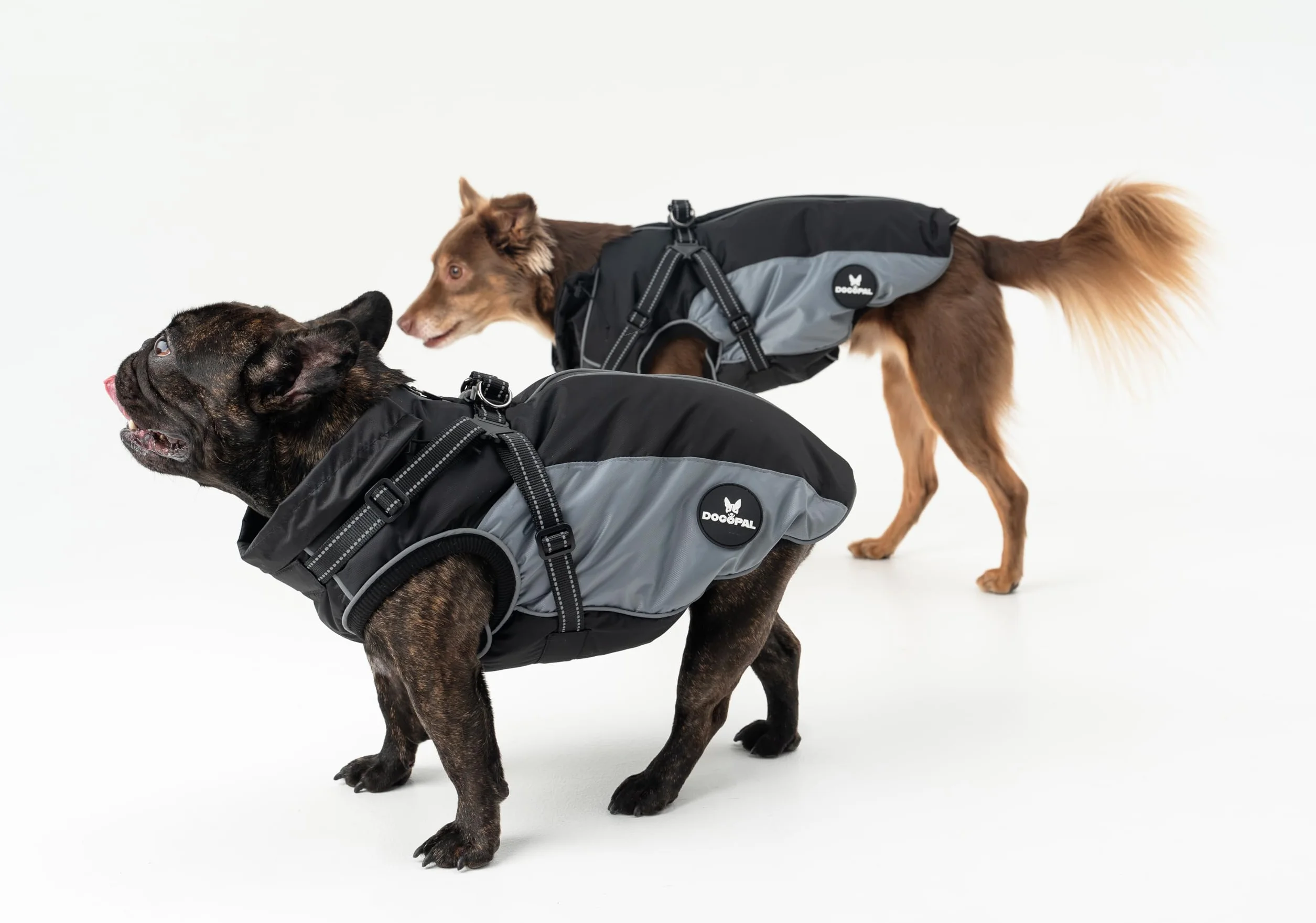 DOGOPAL Manteau Imperméable pour Chien avec Harnais Intégré – Veste de Pluie Réfléchissante, Coupe-Vent et Chaude pour Chien, Veste de Protection pour Petits, Moyens et Grands Chiens (Gris, 45)