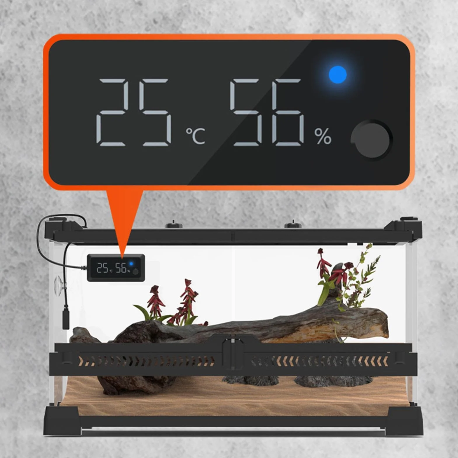 Hygromètre numérique reptile - Température et jauge d'humidité, accessoire | Hygromètre en terrarium pour gecko à crête, gecko léopard, serpent, lézard et capteur de réponse plus rapide pour