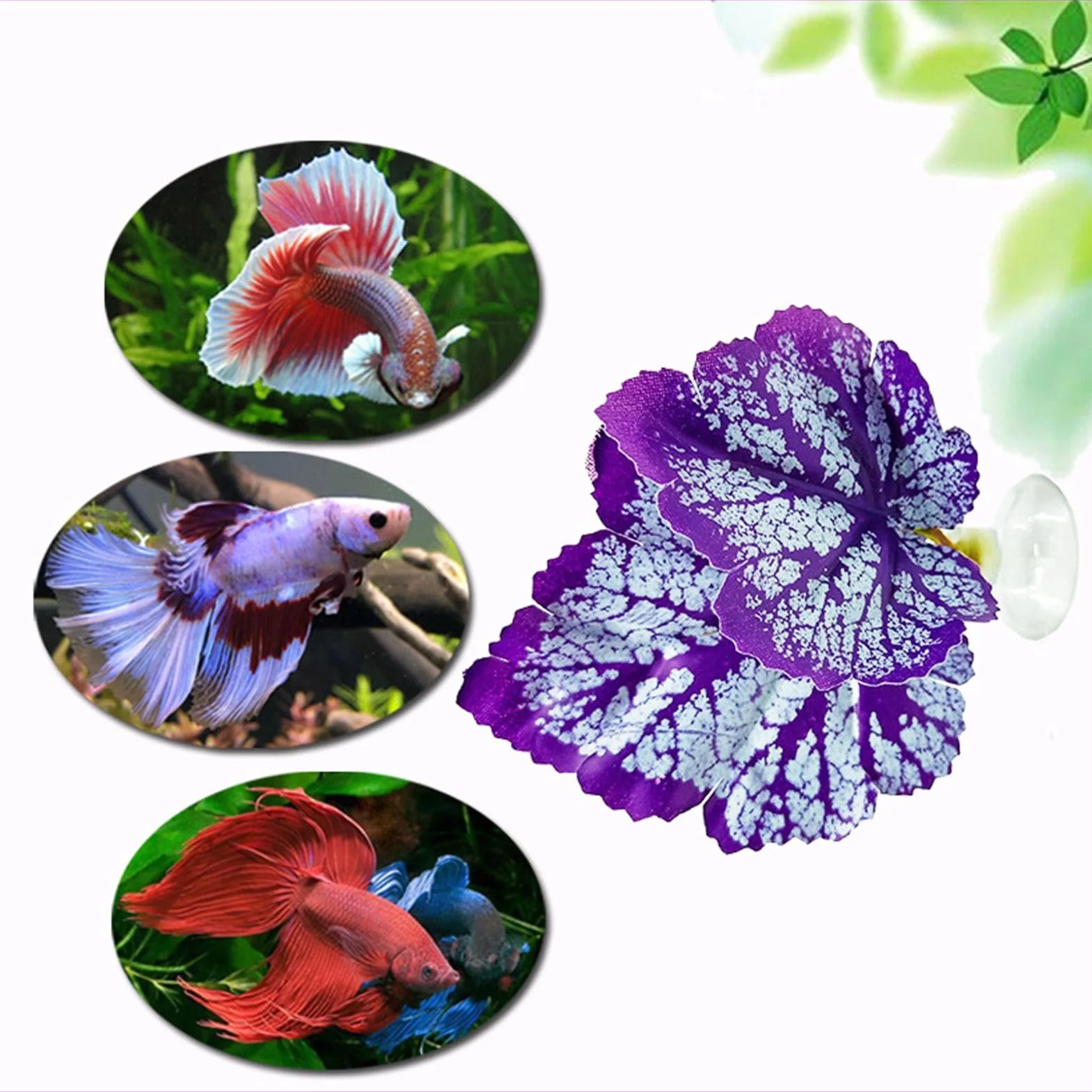XIAOXIAOYU Feuille de Repos pour Poisson Betta, Coussinet de Feuilles Flexible et Sûr pour Aquarium