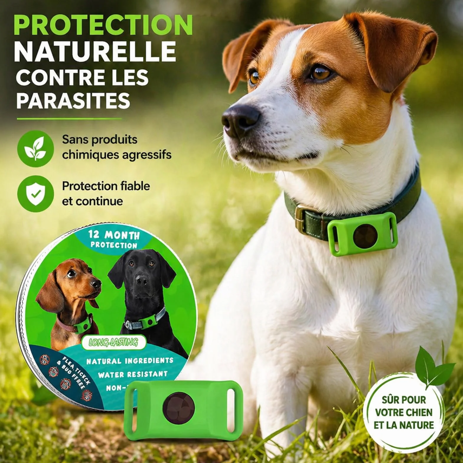 Pendentif Everly Chien - Nouveau Pendentif antiparasitaire Naturel pour Animaux 2026, Médaille de Collier Longue durée pour Une Protection Quotidienne, conçu pour Le Confort des promenades (Green)