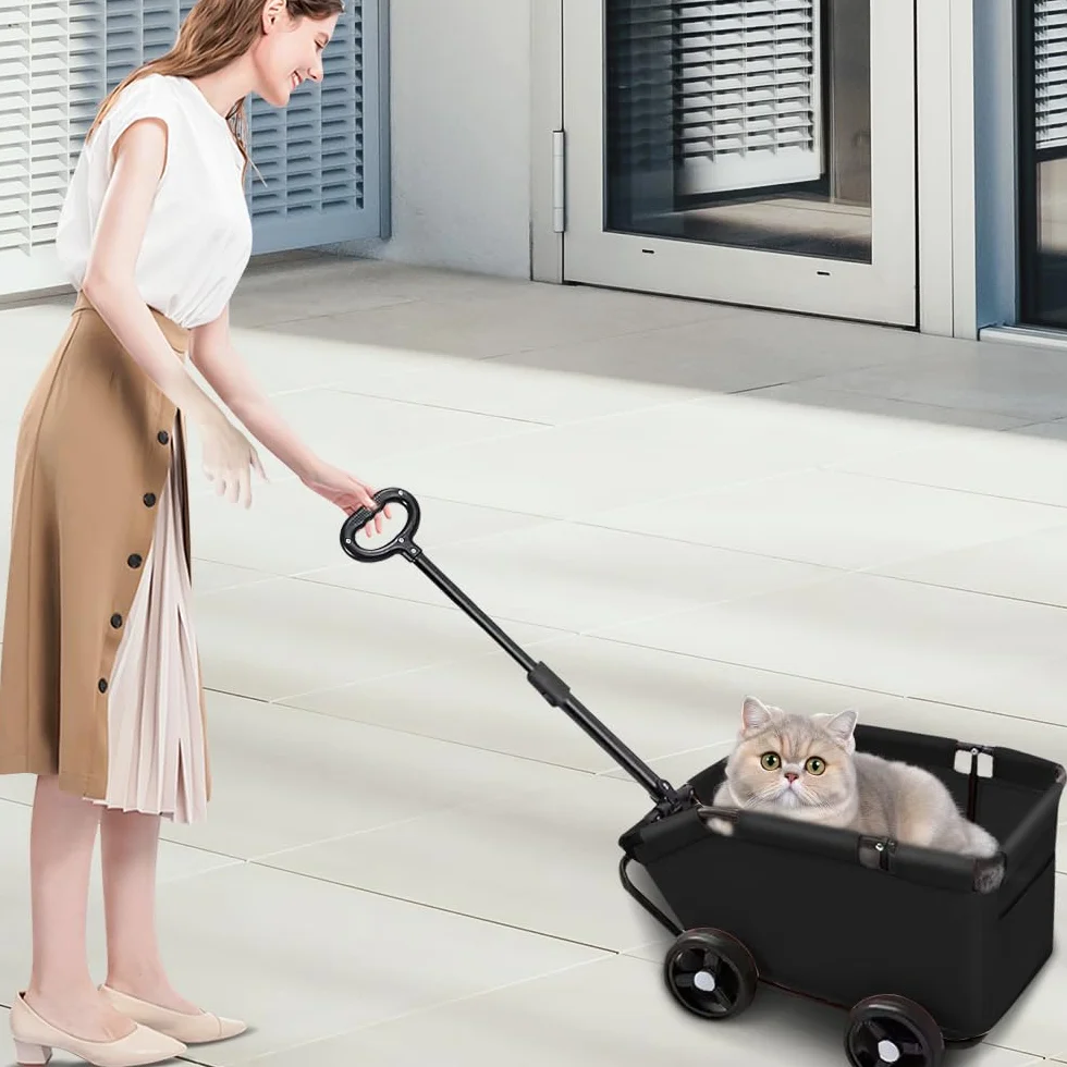 Poussette pour animaux de compagnie pliable 4 roues, pour chiens et chats jusqu'à 10 kg, avec poignée de traction