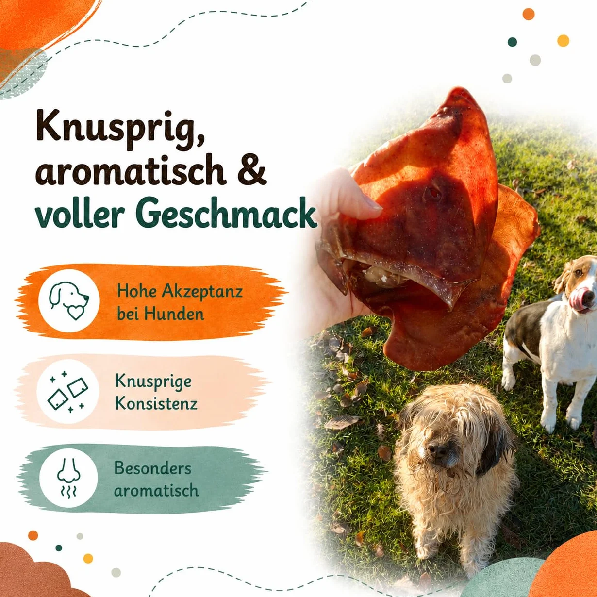 Lot de Oreilles de Porc pour Chiens 1kg, Environ friandises à mâcher 100% Naturelles sans Produits Chimiques, sans céréales, Article à mâcher pour Petits et Grands Chiens, Lucze
