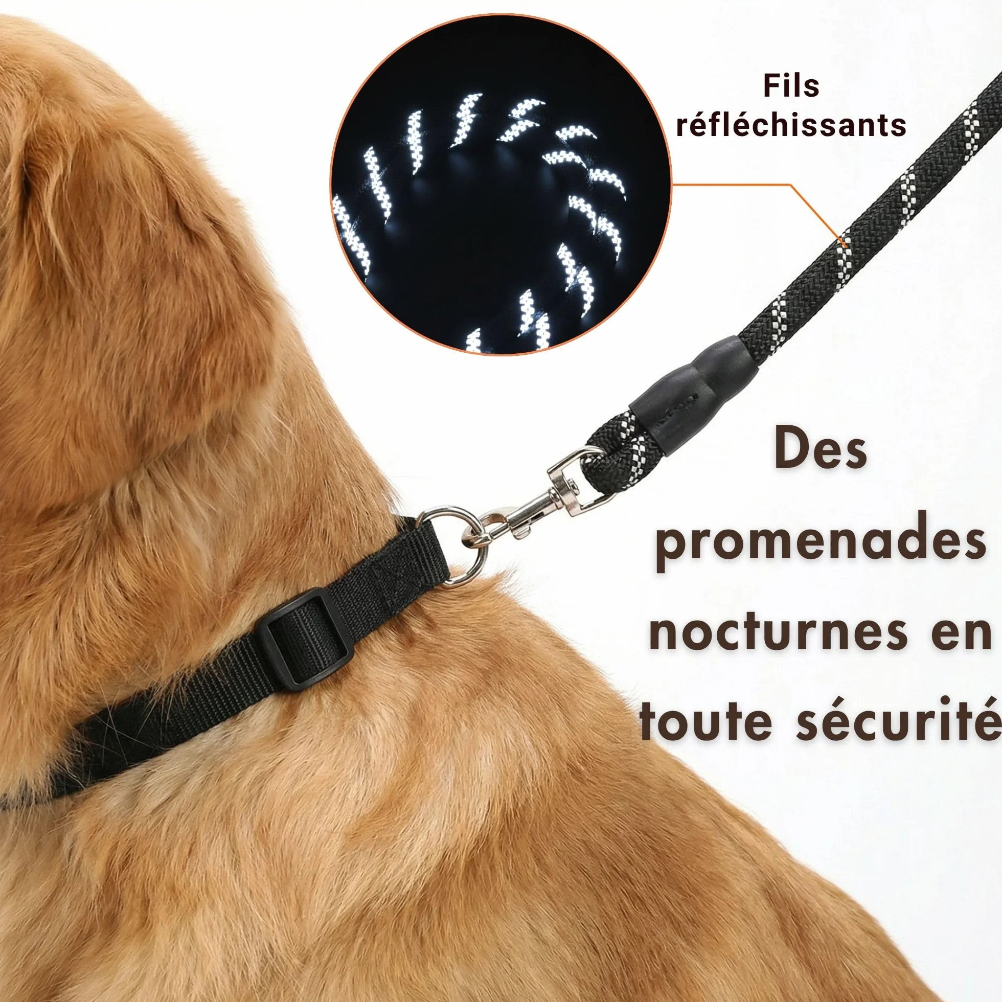 SOLDAY Laisse Anti Traction Chien 2m Lasso Multiposition Réfléchissante Noir