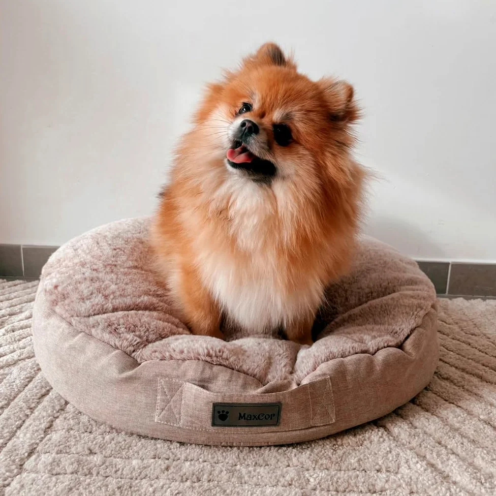 MaxCor Coussin Chien et Chat Rond à Mémoire de Forme Orthopédique - Petit Beige - Soulage et Préserve Les articulations - Réversible Face Hiver, Face été - Ne se déforme Pas et Lavable en Machine