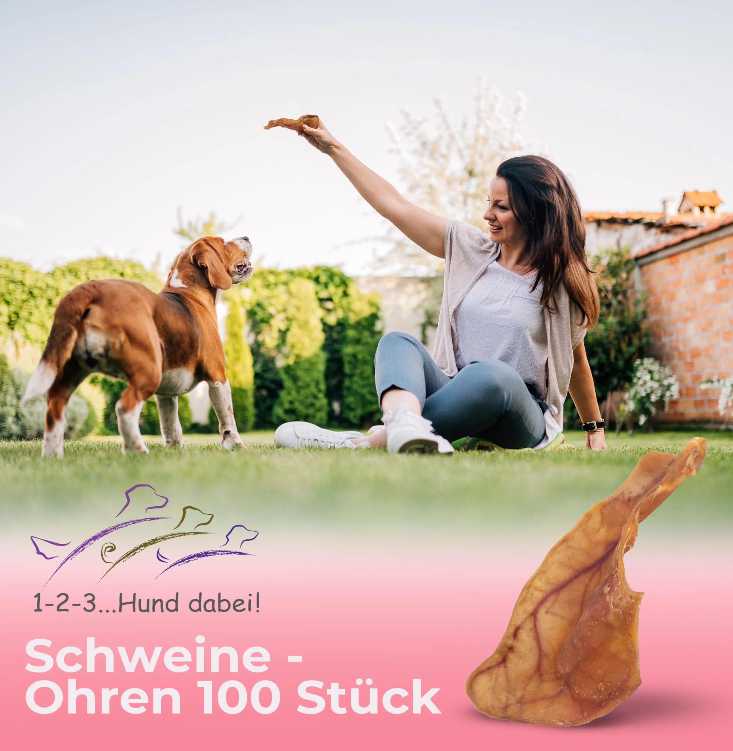 Oreilles de porc séchées naturelles pour chiens – 100 % pur plaisir de mastication, séchage à l'air libre, sans additifs – Friandise idéale pour le nettoyage des dents (100 pièces)