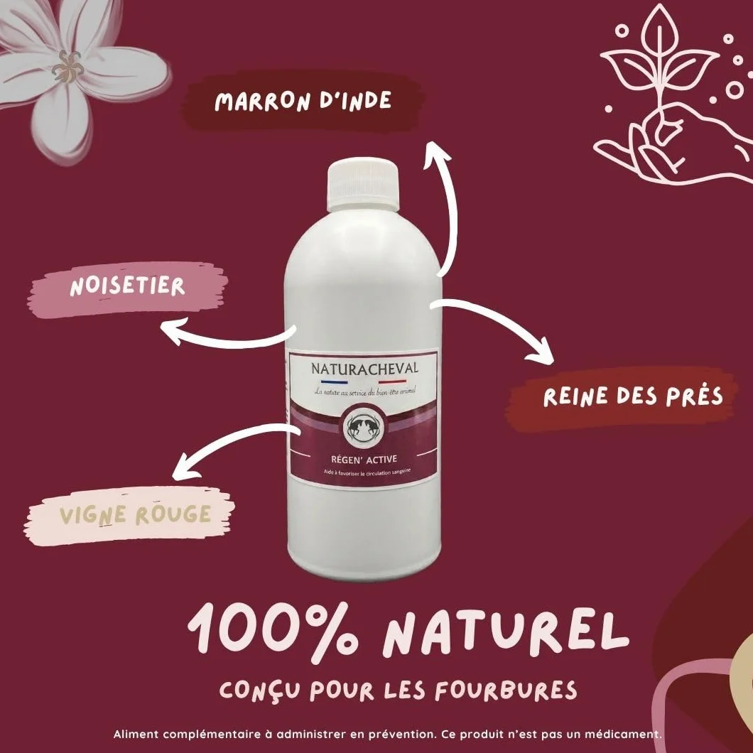 Circulation Cheval & Engorgement – Complément Naturel Retour veineux – Soulage Membres gonflés & lourdeurs – Soutien fourbure & œdèmes – Formule Plantes