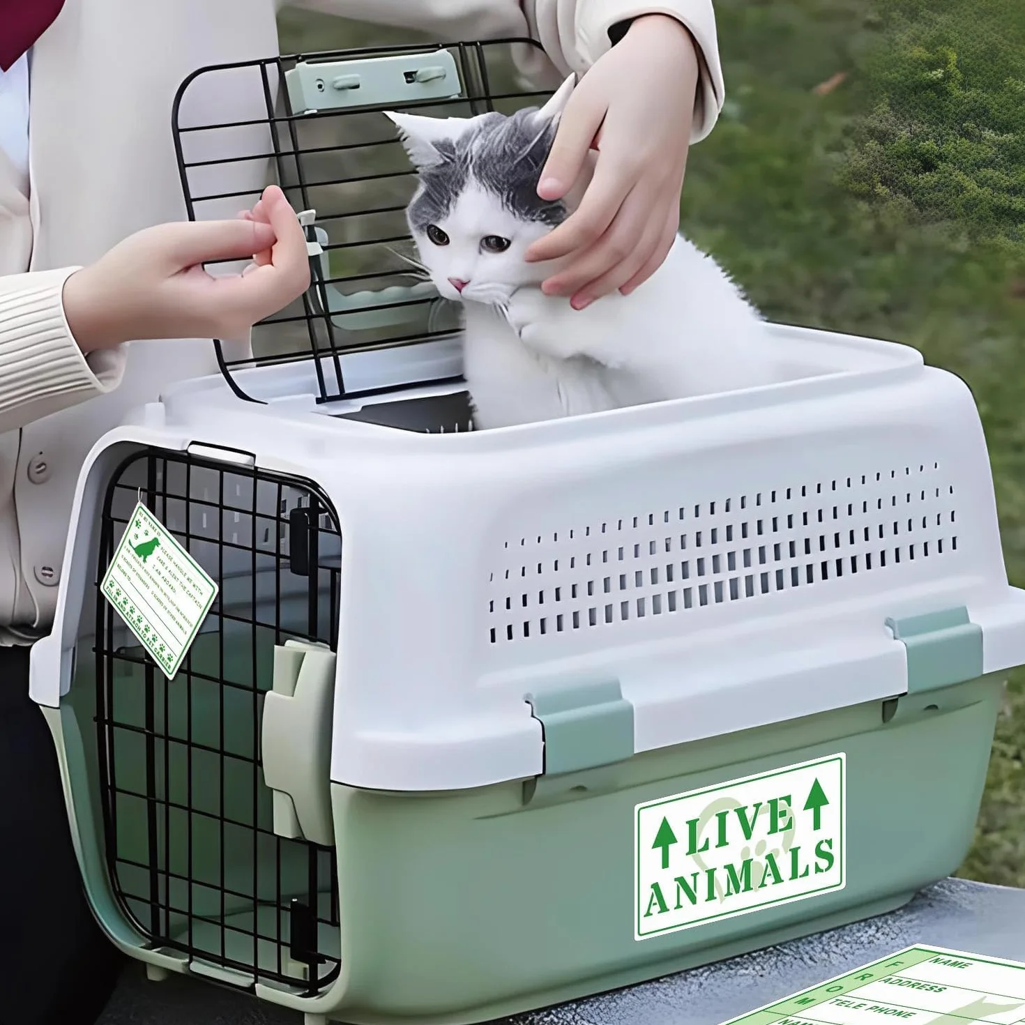 Live Animals Stickers with Arrow for Air Cargo Crate Shipping Handling Instruction Labels