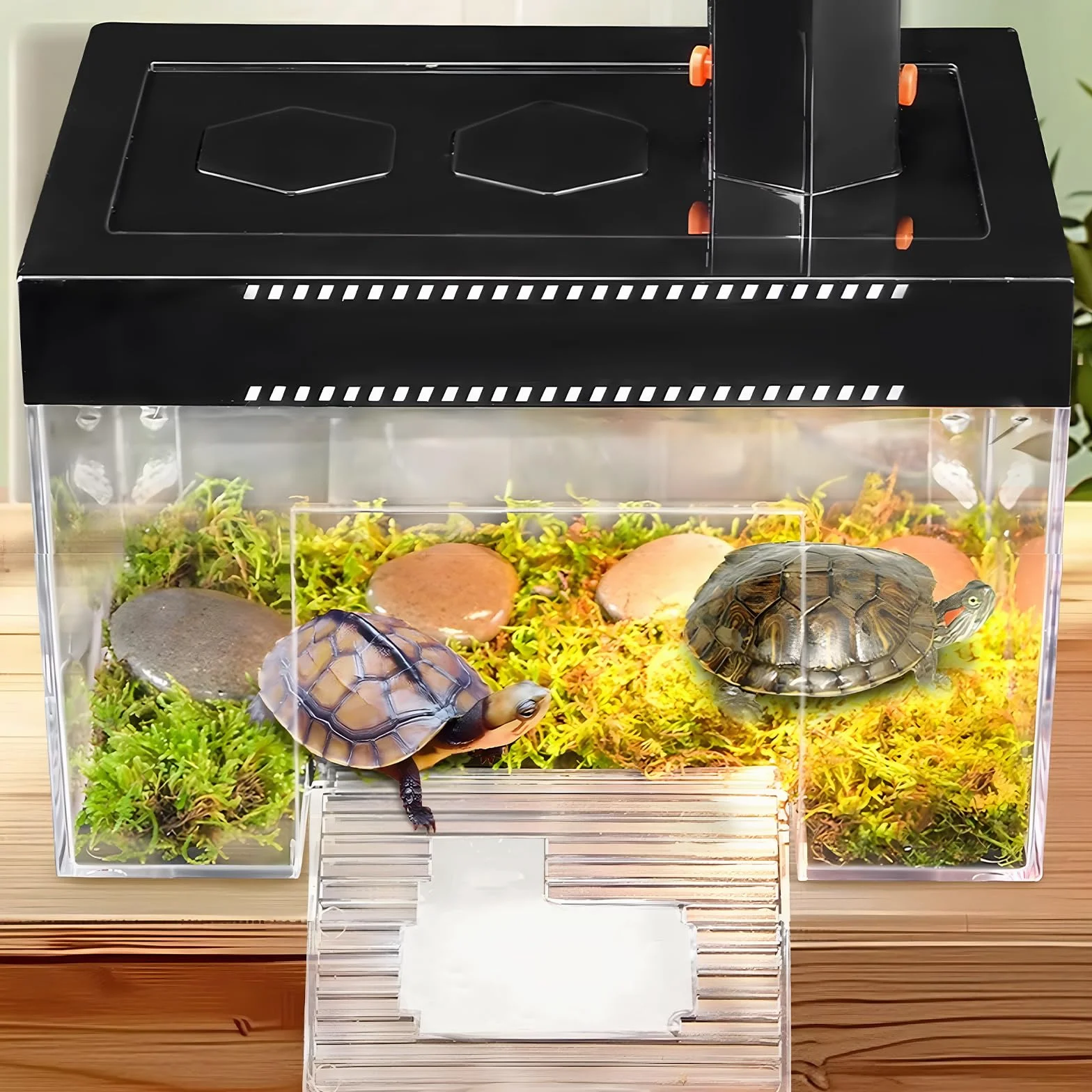 Plateforme de repos suspendue pour tortues à hauteur réglable 25×16×16 cm PC transparent enclos aquarium