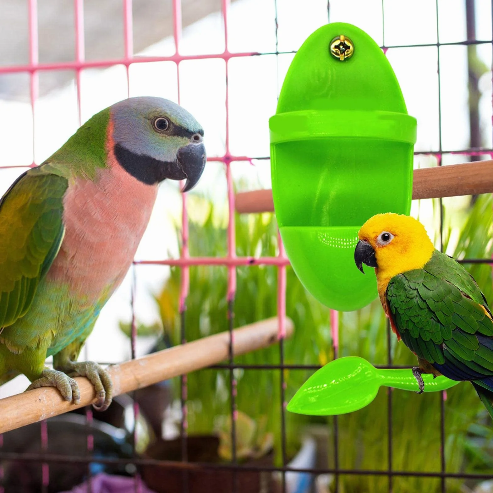Porte-os de seiche pour Cage à Oiseaux - Support à Os de seiche pour Perroquets, Calopsittes, Perruche