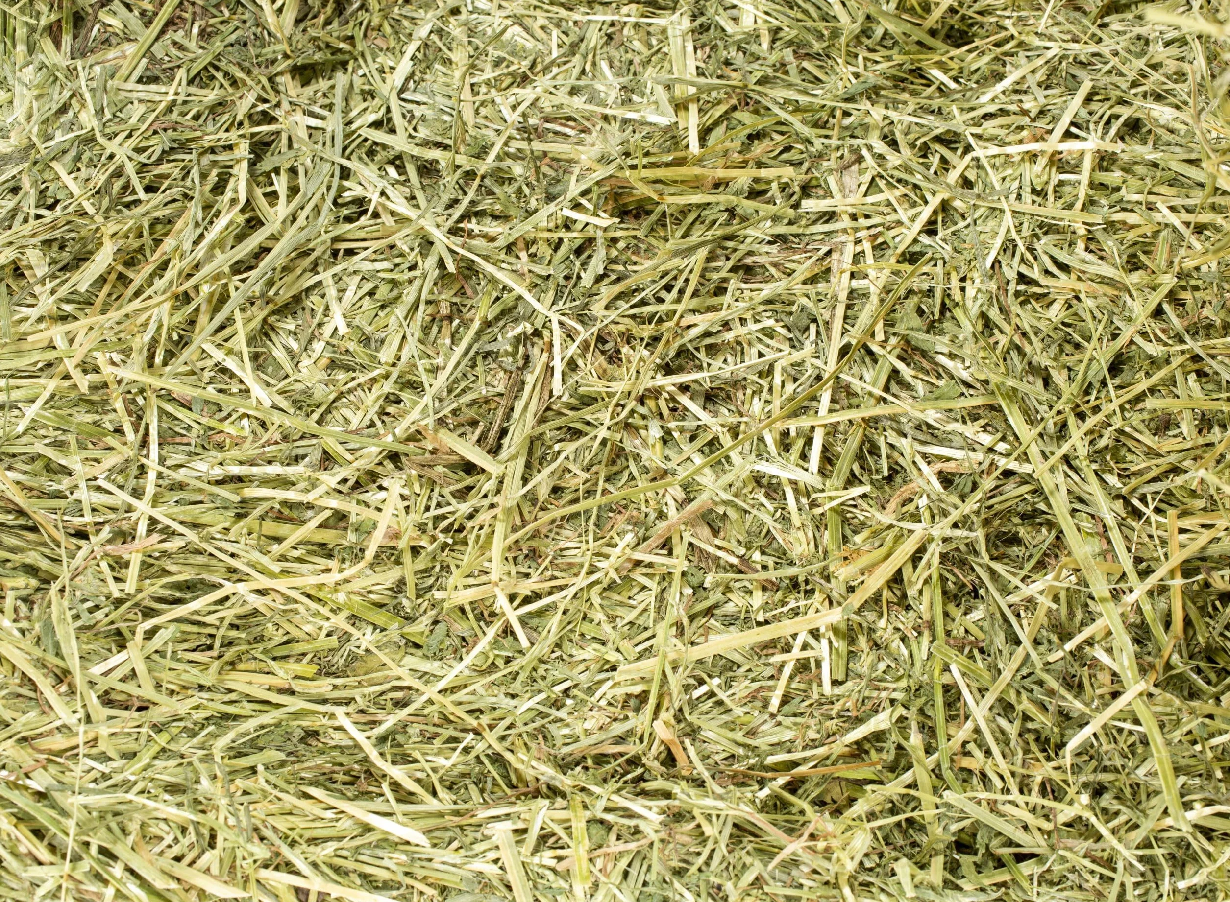 Foin naturel 5 kg pour lapins chinchilla cochons d'Inde tortues chevaux ovins caprins