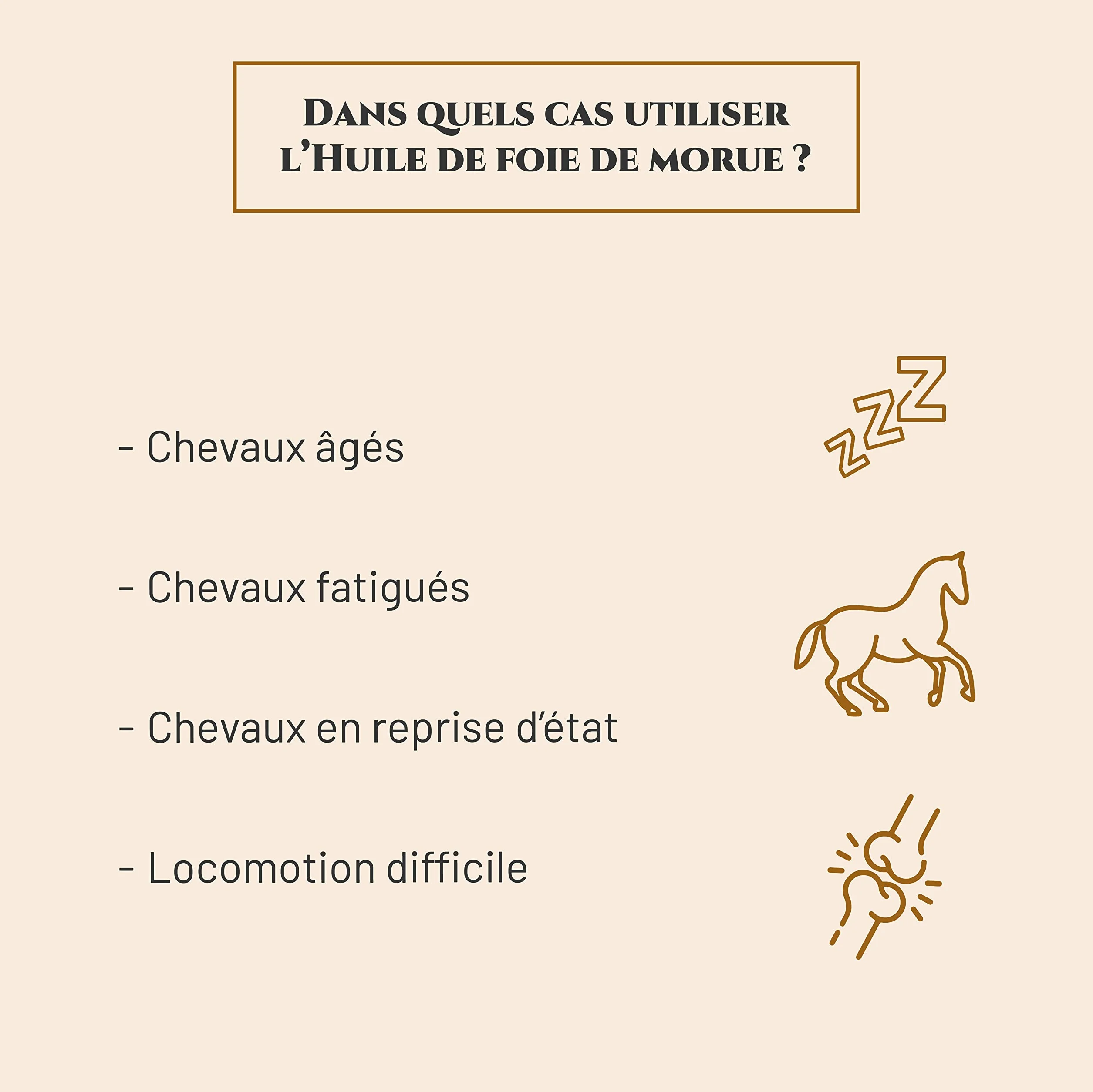 Huile DE Foie DE MORUE - Complément nutritionnel Cheval - Bidon 5 L - Articulations - Reprise d'état Cheval - Immunité - Source d'oméga 3 et vitamines A et D - Marque française
