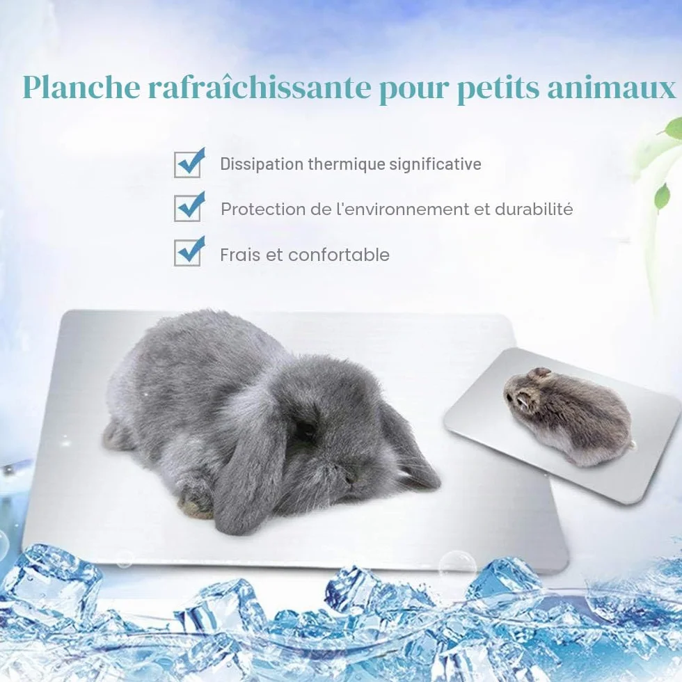 Tapis de Refroidissement pour Lapin, PeSandy Coussin de refroidissement pour Lapins, Cochon d'Inde, Chinchilla, Hamster et Autres Petits Animaux Restent au Rrais Cet Été - Assiette Cool Lapin(30x20cm)