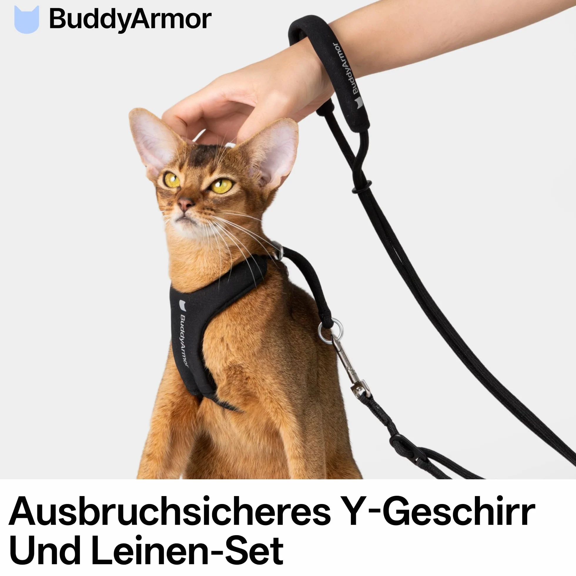 Harnais pour chat anti-évasion en forme de Y avec laisse réglable anti-étouffement rembourré, jusqu'à 12 kg, noir, L