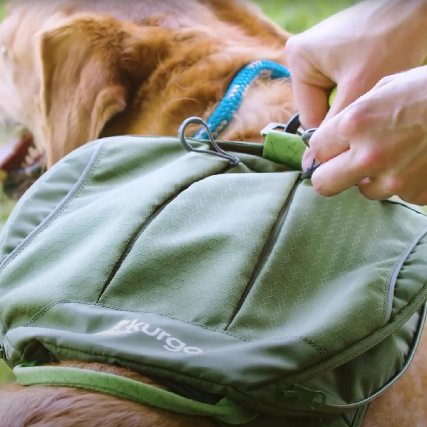 Kurgo Cascade Harnais pour Chien Sac à Dos Randonnée Taille M Vert