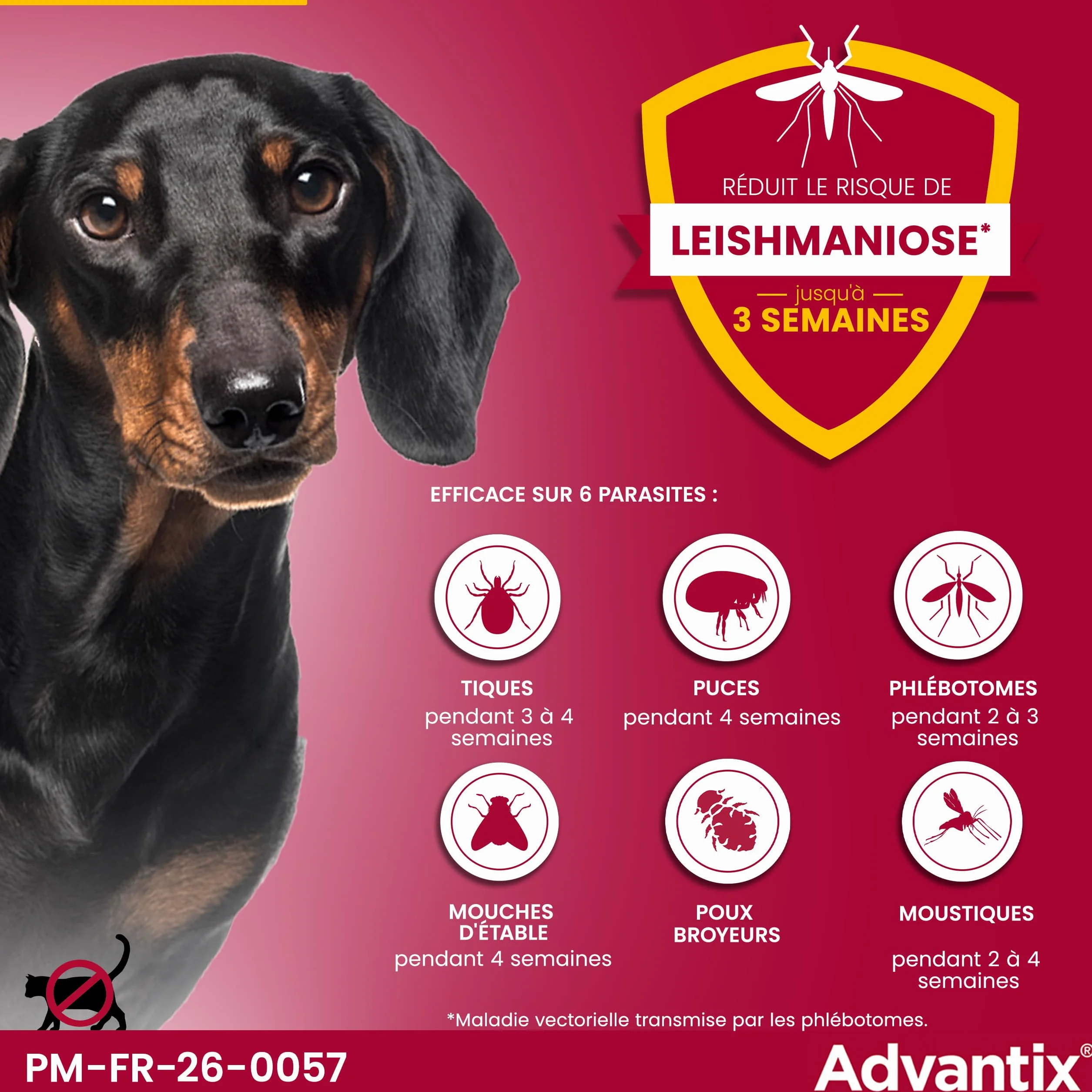 Advantix Très Petit Chien 1,5-4 kg Pipettes 6 parasites Protection 4 semaines 6 x 0,4 ml