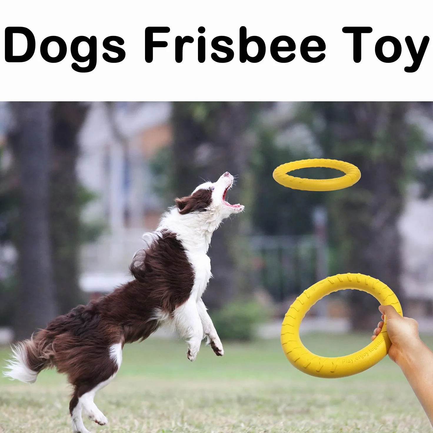 Anneau de Fitness Pour Chien, Anneau de Morsure de Chien, équipement d'exercice d'agilité pour chien, anneau d'entraînement interactif au tir à la corde pour petits et grands chiens (Jaune, Grande)