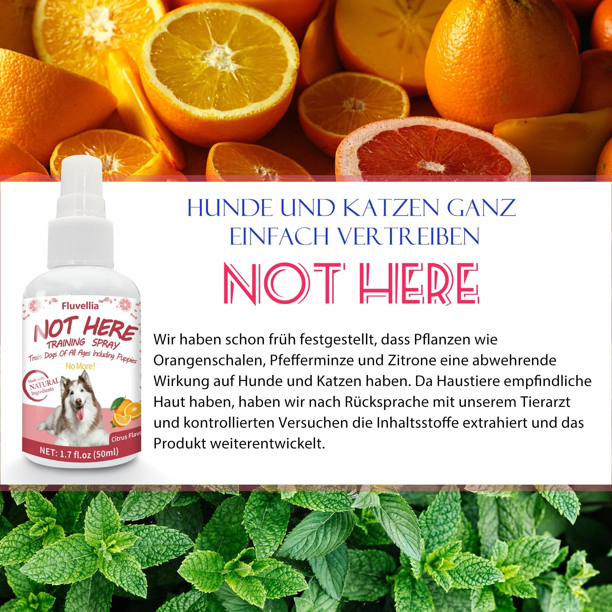 Lot de 2 sprays d'entraînement pour chien Not Here et Here Potty - 50 ml - Ingrédients naturels - Arôme d'agrumes et de menthe