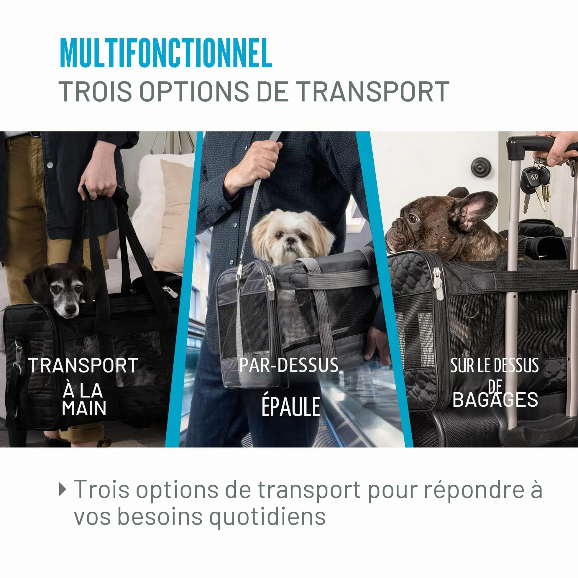 Sherpa Original Deluxe Sac de Transport pour Animal de Compagnie approuvé par Les compagnies aériennes Gris Anthracite Taille M