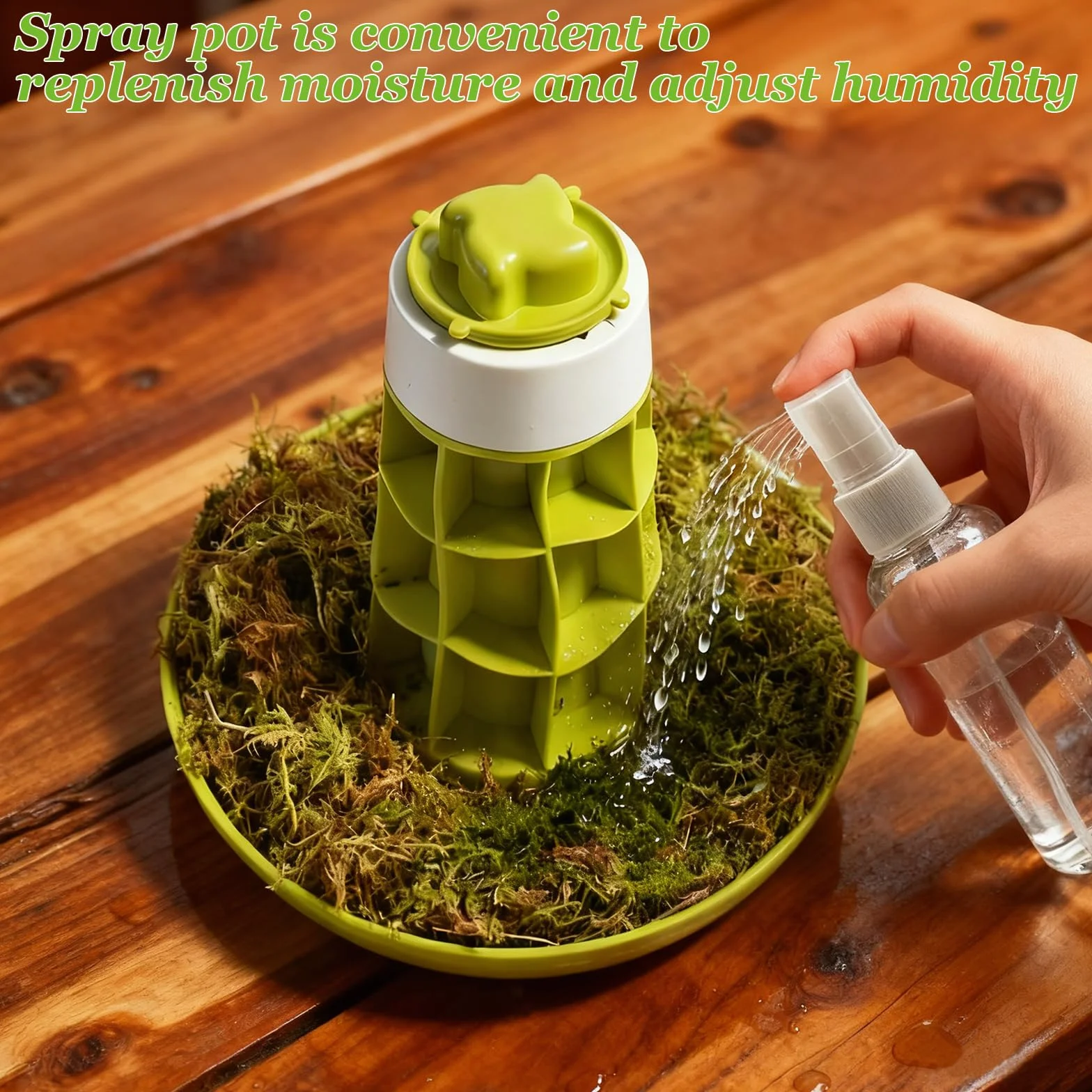 Kit de terrarium pour escargots - Boîte d'élevage d'observation pour mantes priantes, araignées, coccinelles