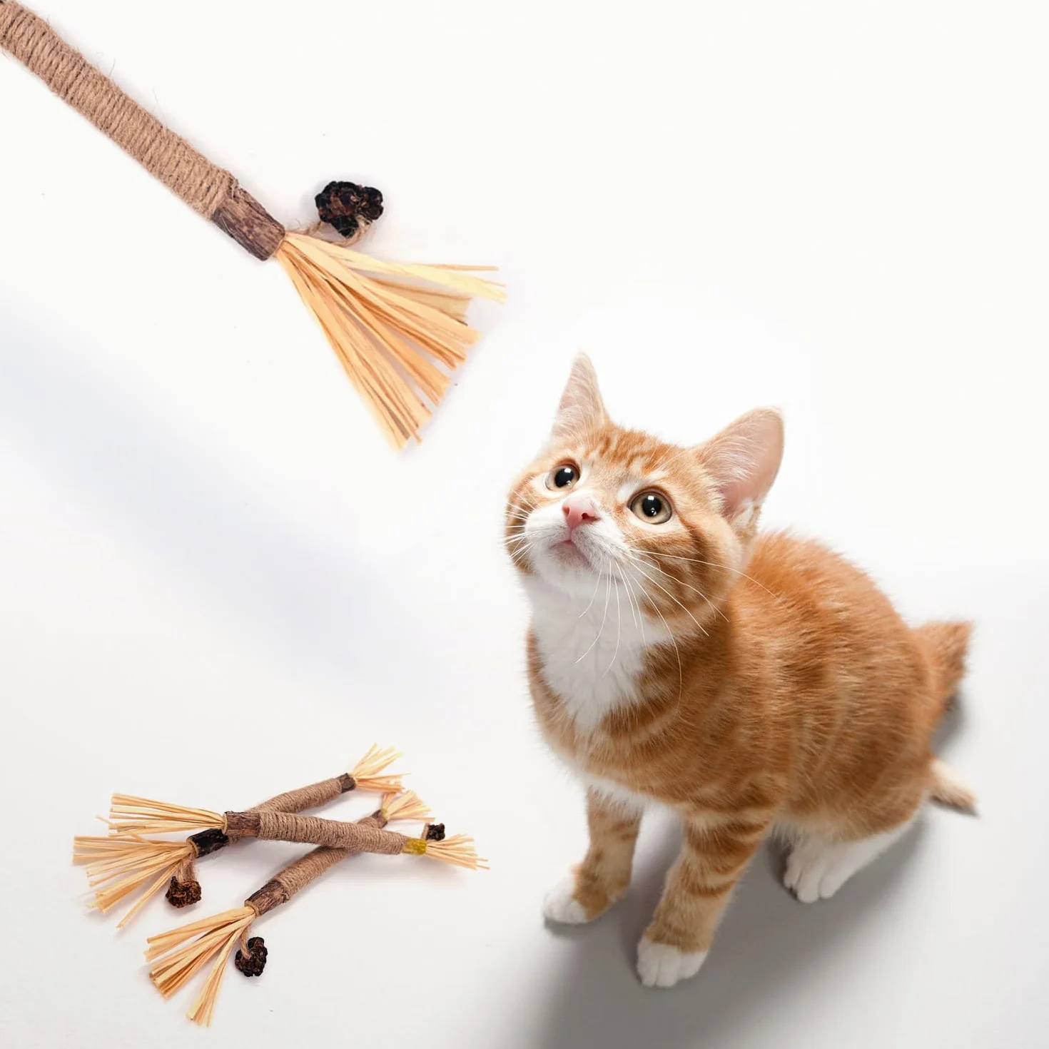 Lot de 6 bâtonnets d'herbe à chat en bois à mâcher pour soins dentaires et mauvaise haleine